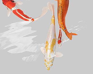 《格林魔书OnceMore》发布第九弹PV 游戏今日发售